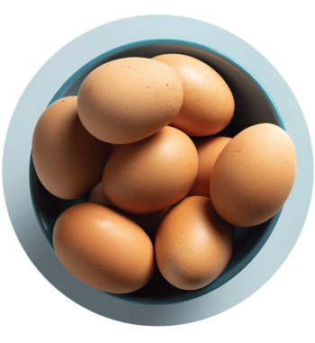 egg-circle